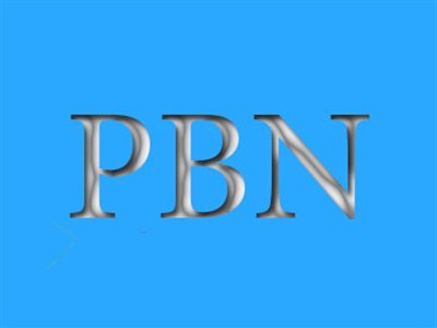 PBN یا شبکه وبلاگ خصوصی چیست؟ 
